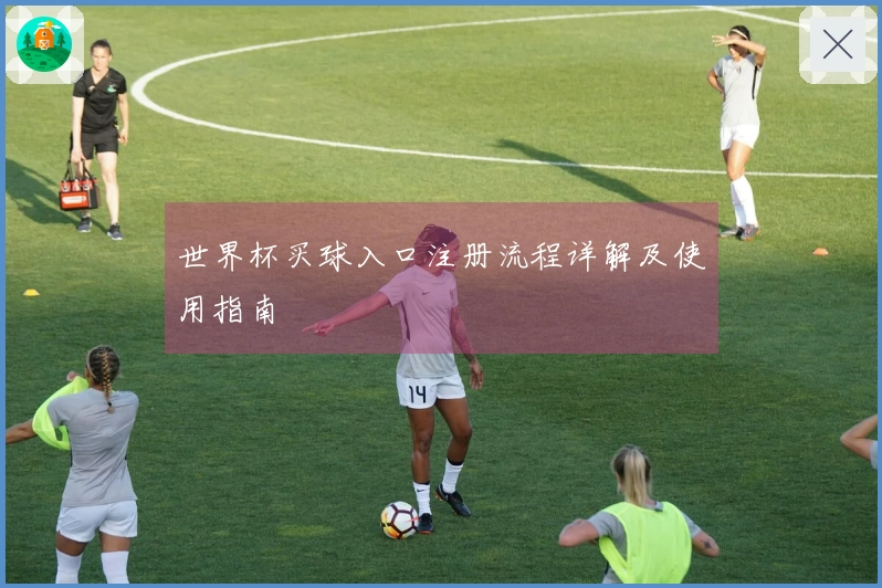 世界杯买球入口注册流程详解及使用指南