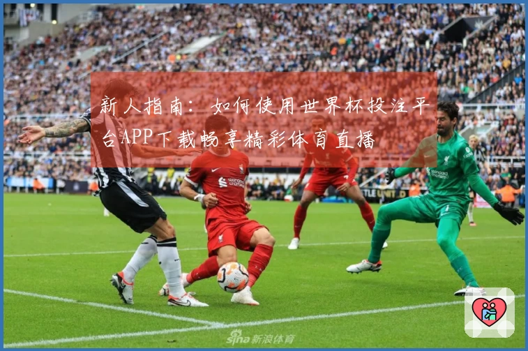 新人指南：如何使用世界杯投注平台APP下载畅享精彩体育直播
