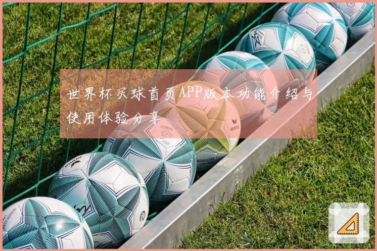 世界杯买球首页APP版本功能介绍与使用体验分享
