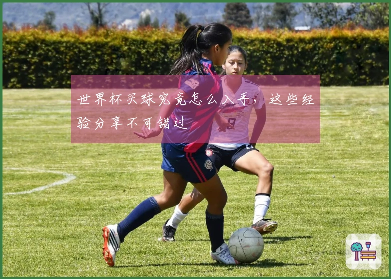 世界杯买球究竟怎么入手，这些经验分享不可错过