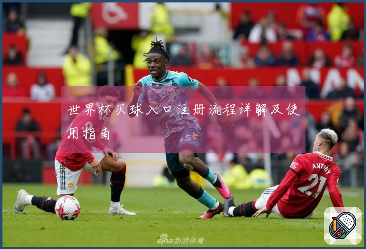 世界杯买球入口注册流程详解及使用指南