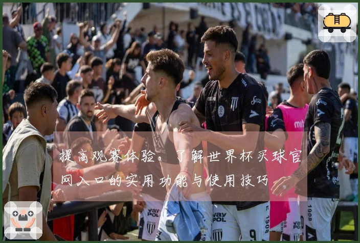 提高观赛体验，了解世界杯买球官网入口的实用功能与使用技巧