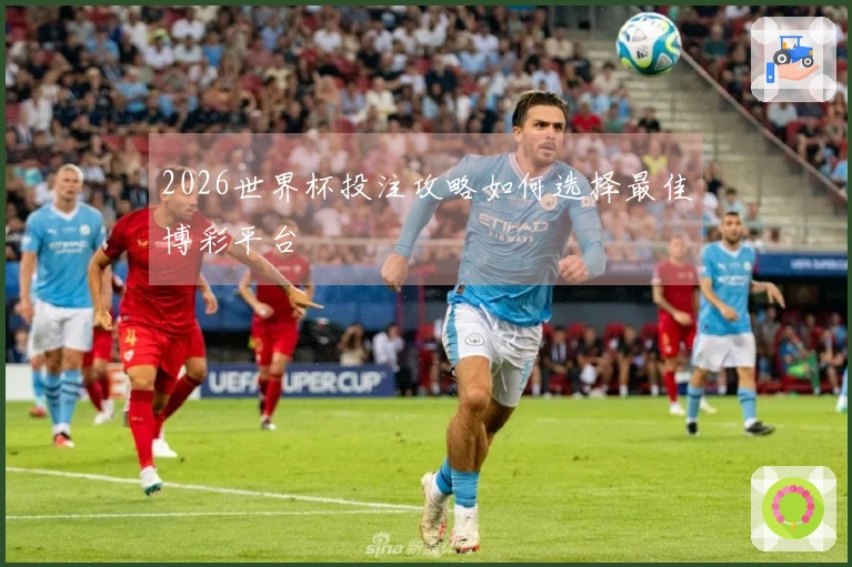 2026世界杯投注攻略如何选择最佳博彩平台