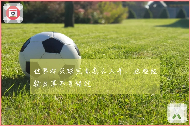 世界杯买球究竟怎么入手，这些经验分享不可错过