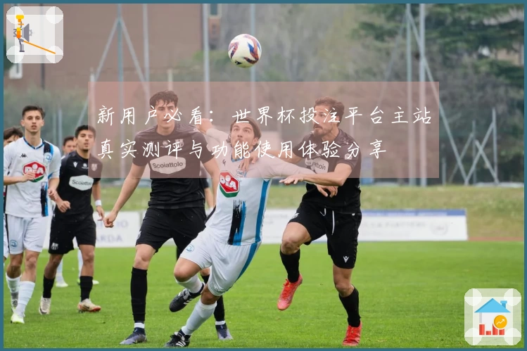 新用户必看:世界杯投注平台主站真实测评与功能使用体验分享