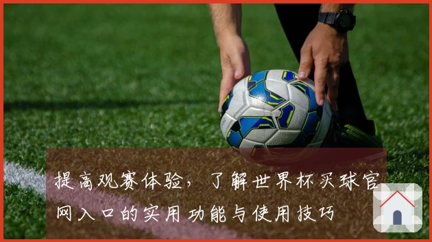 提高观赛体验，了解世界杯买球官网入口的实用功能与使用技巧