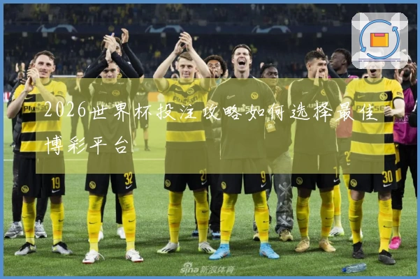 2026世界杯投注攻略如何选择最佳博彩平台