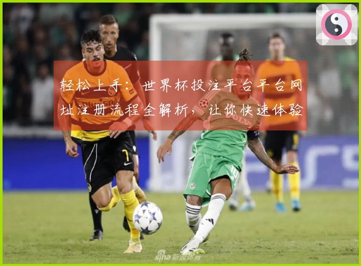 轻松上手：世界杯投注平台平台网址注册流程全解析，让你快速体验精彩赛事